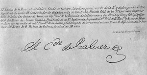 Underskrift af Bernardo de Galvez (1746-86) (detalje 242187) af American School